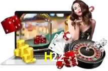 H22